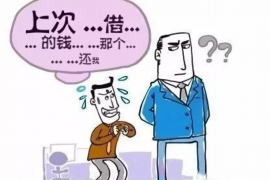 安康为什么选择专业追讨公司来处理您的债务纠纷？